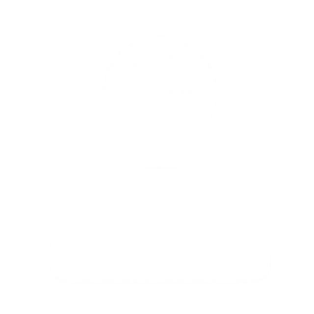 Fractional CFO Leadership Icon